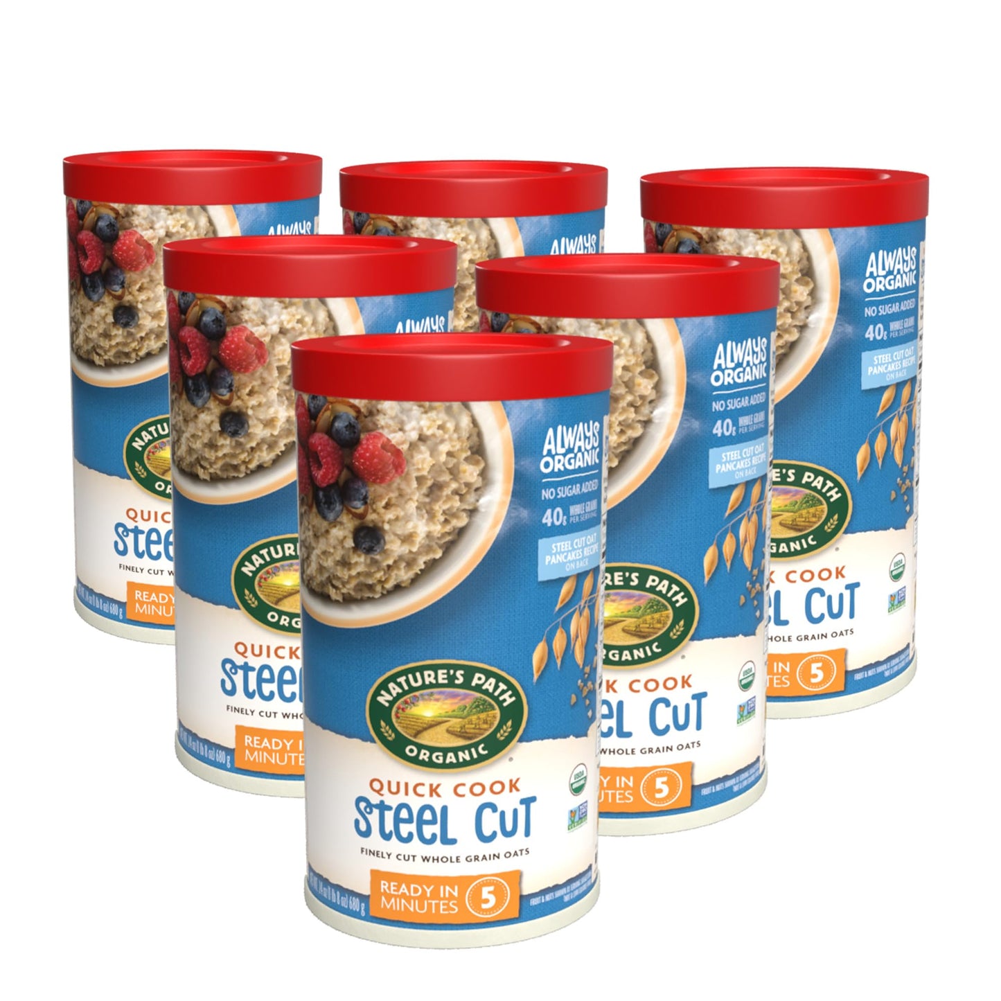 Nature'S Path Organic Ready In 5 Minutes Steel Cut Whole Grain Oats, 24 Ounce Canister, Non-Gmo, 40G Whole Grains, 5G Plant Based Protein, (Pack Of 6)