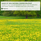 Tagalica Dandelion Root Powder 100% Natural Vegan 10 oz No Additives No Gluten No Sugar