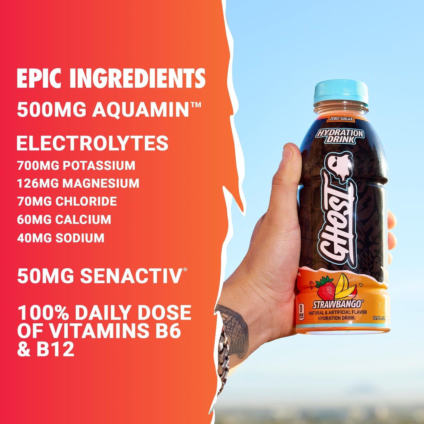 GHOST Hydration Drink, Strawbango - RTD Sports Drink with Electrolytes, 16.9 Fl Oz, Pack of 12, Zero Caffeine & Sugars