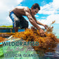 Golden Irish Sea Moss | Wildcrafted From St. Lucia | 8Oz Makes ~120+ Oz Sea Moss Gel | 100% Natural, Raw & Sun-Dried | Dr. Sebi Inspired, Nutrient-Rich Irish Moss For Health & Wellness