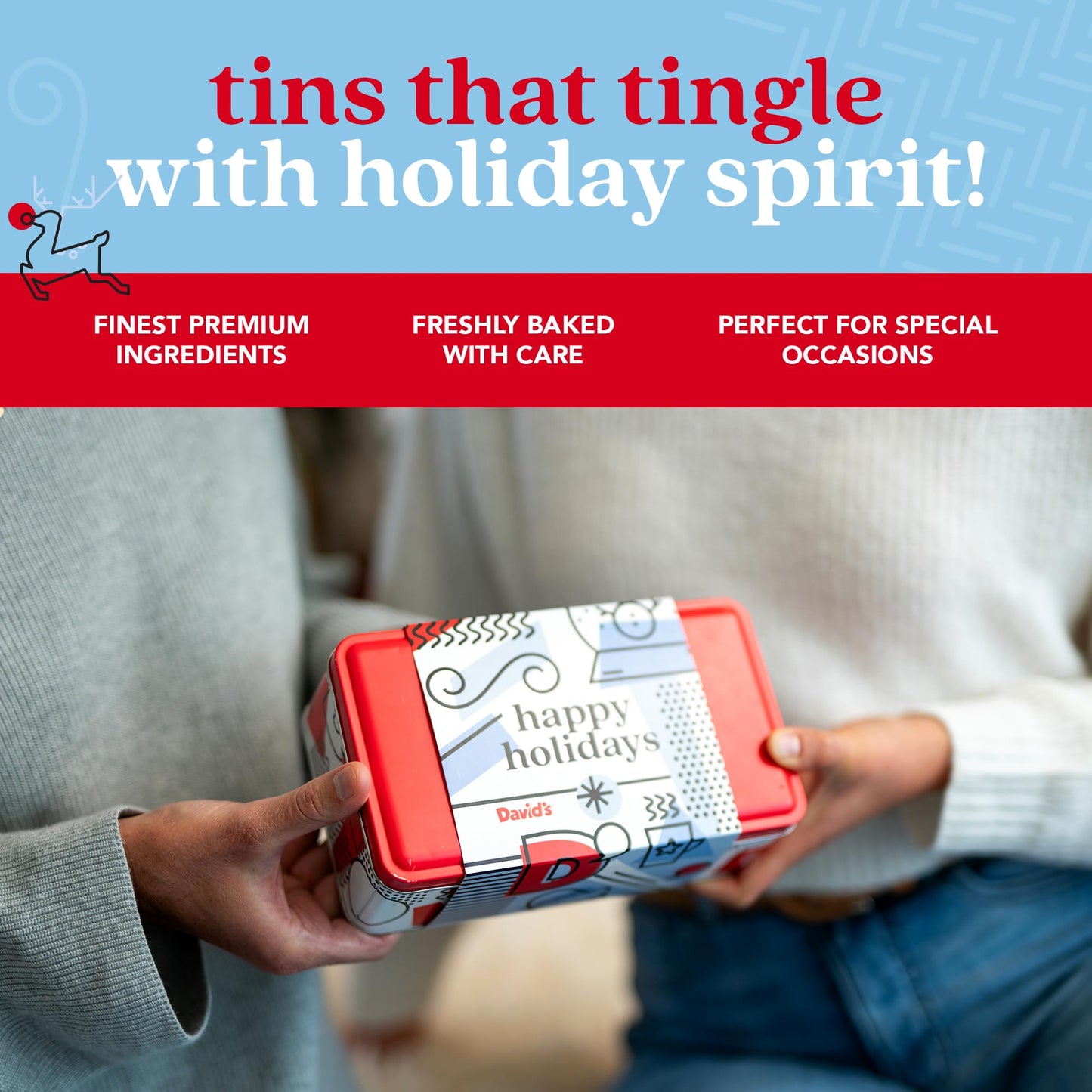 Davids Cookies Mini Holiday Cookie Sampler Tin - Assorted Christmas Cookies, 14oz