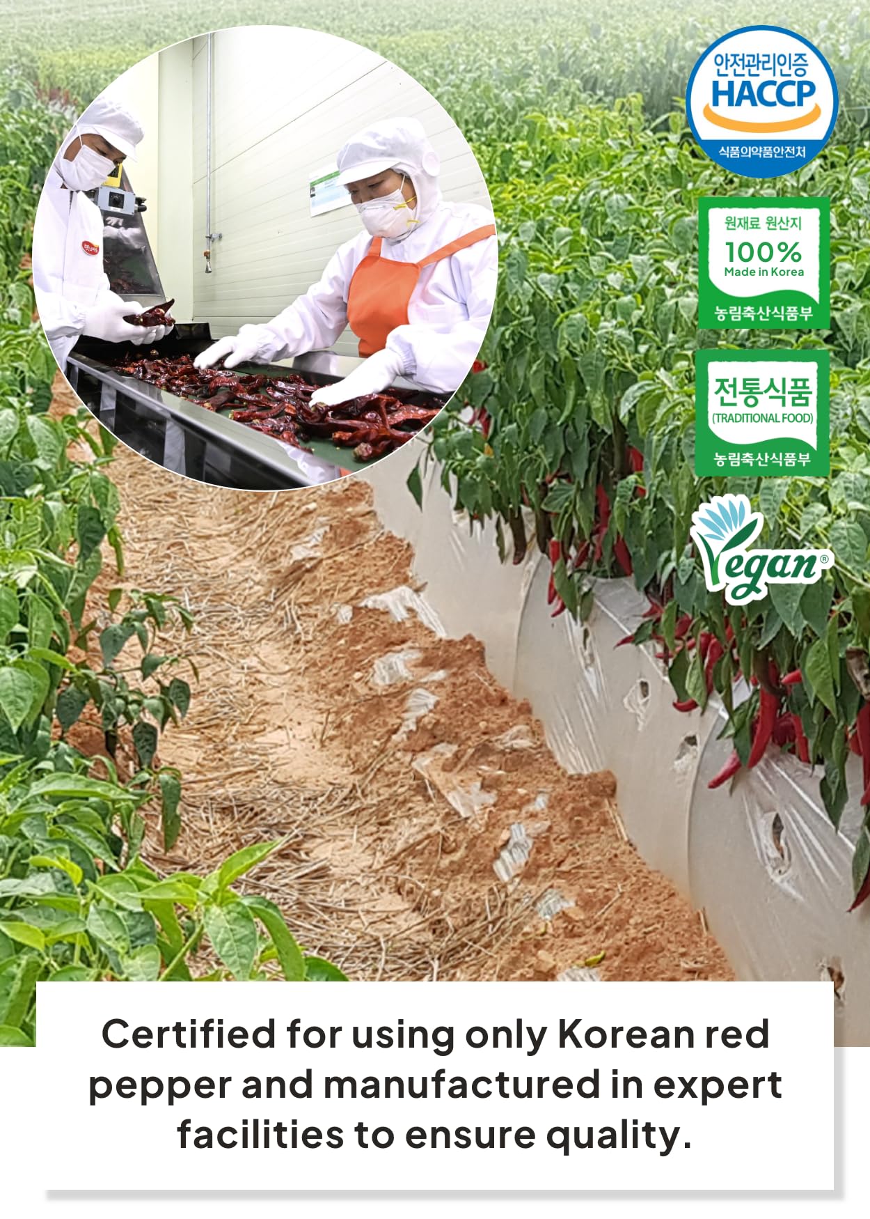Korean Food Haetnim Maeul 100% Korean Red Chili Powder | Large Particle Powder For Stir Fry And Seasoning 3.5Oz(100G) | Vegan, N