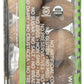 SPICELY Organic Nutmeg Jar Whole, 1.4 OZ