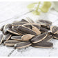 Chacha Roasted Sunflower Seeds Spiced Flavor, 8.82Oz, 250G (Pack Of 3)