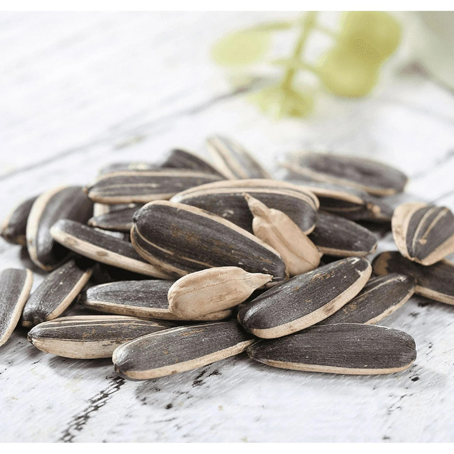 Chacha Roasted Sunflower Seeds Spiced Flavor, 8.82Oz, 250G (Pack Of 3)
