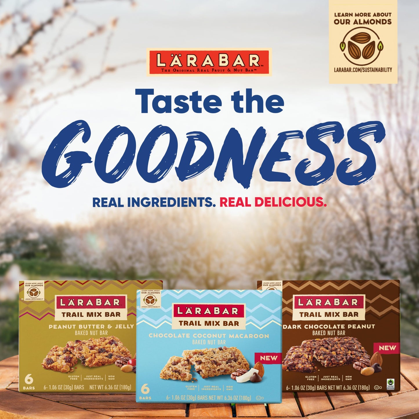 Larabar Trail Mix Bars, Dark Chocolate Peanut, Gluten Free Baked Nut Bar, 8 Count, 8.48 Oz