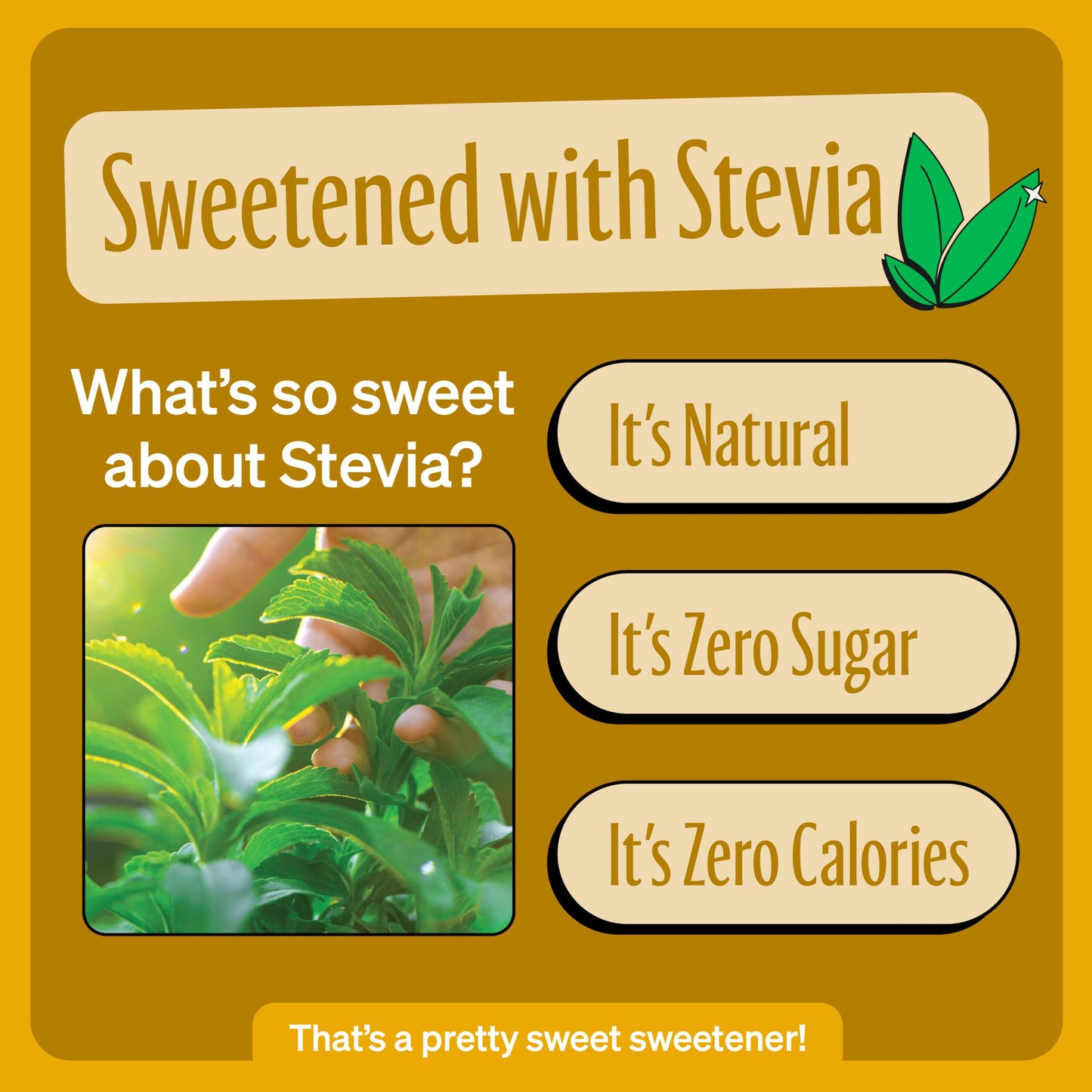 Zevia Zero Sugar Soda, Cream Soda, 16 oz Cans (12-Pack) - Naturally Sweetened, Non-GMO Project Verified, Gluten-Free, Vegan
