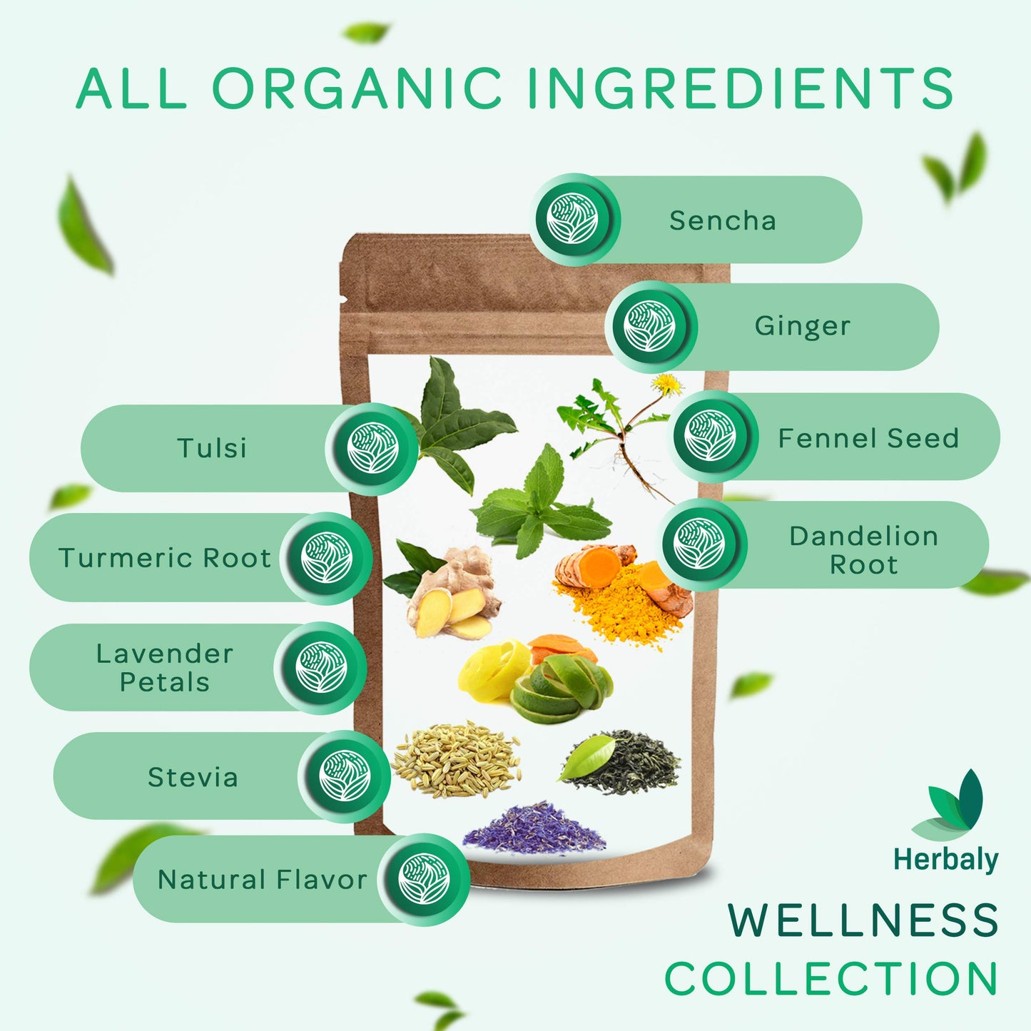 Herbaly Wellness Collection Tea - 8 Active Herbs - Improve General Health, Strengthen Immunity - Natural, Organic, Non-Gmo, Vega
