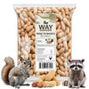 Office Roast Raw Peanuts in Shell 2 lb Bag - Unsalted, Natural & Healthy Snack - Plain Peanuts for Squirrels, Birds & Wildlife F
