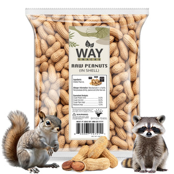 Office Roast Raw Peanuts in Shell 2 lb Bag - Unsalted, Natural & Healthy Snack - Plain Peanuts for Squirrels, Birds & Wildlife F