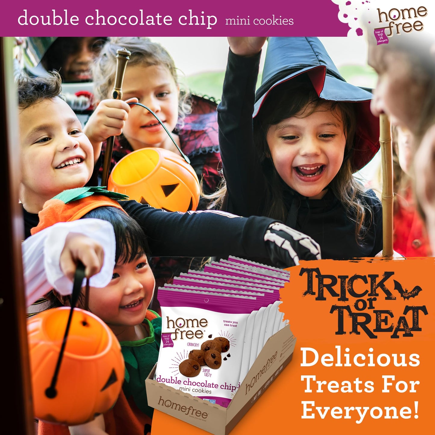 Homefree Treats You Can Trust Gluten Free Mini Cookies, Single Serve, Double Chocolate Chip, 0.95 Ounce (Pack Of 10)