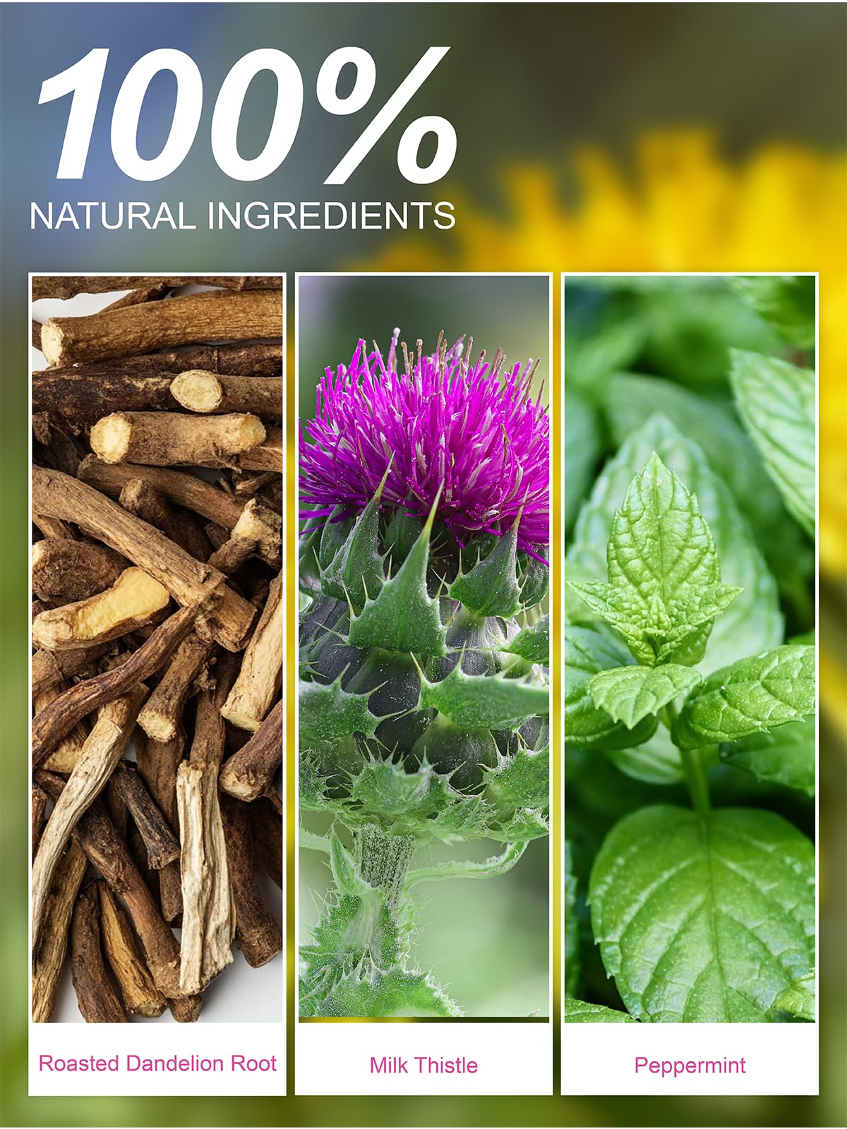 TeeLux Roasted Dandelion Root Tea with Milk Thistle & Peppermint, Caffeine Free, 50 Count