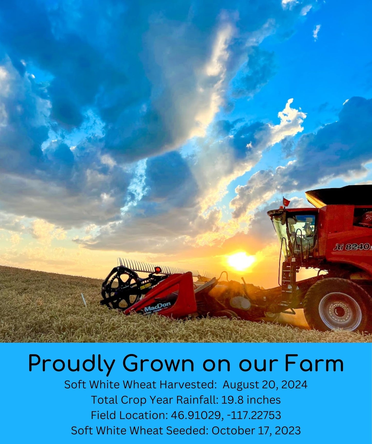 Soft White Wheat Berries | 15 Lbs | Family Farmed In Washington State | 100% Desiccant Free | Non-Gmo Project Verified | 100% No