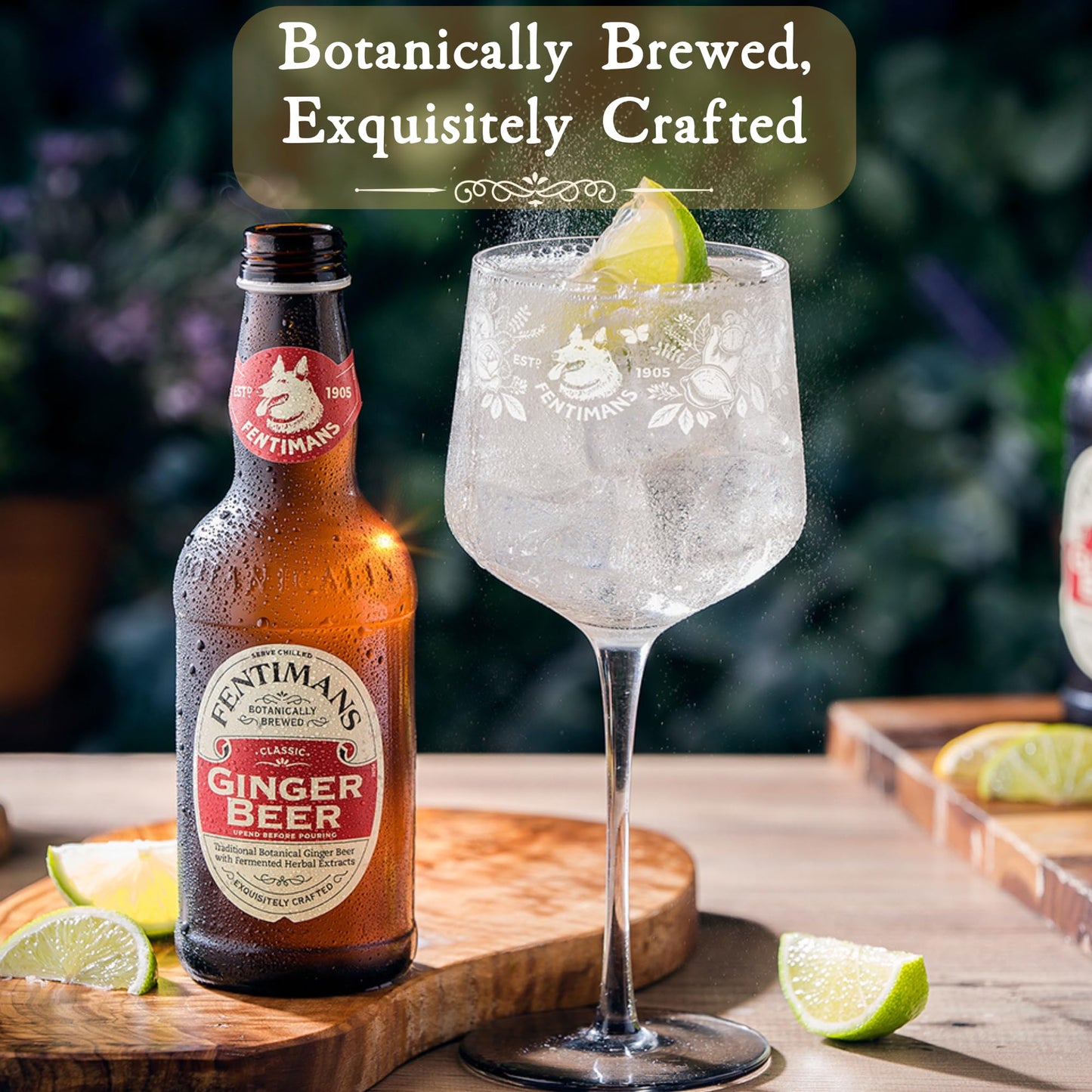 Fentimans Sparkling Ginger malt-inspired - Non-  ic Craft Soda, 9.3 Fl Oz (Pack of 12)