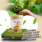 Tata Raw - Organic Sprouted Maple Walnuts - Turmeric, Ginger - 1 Lb