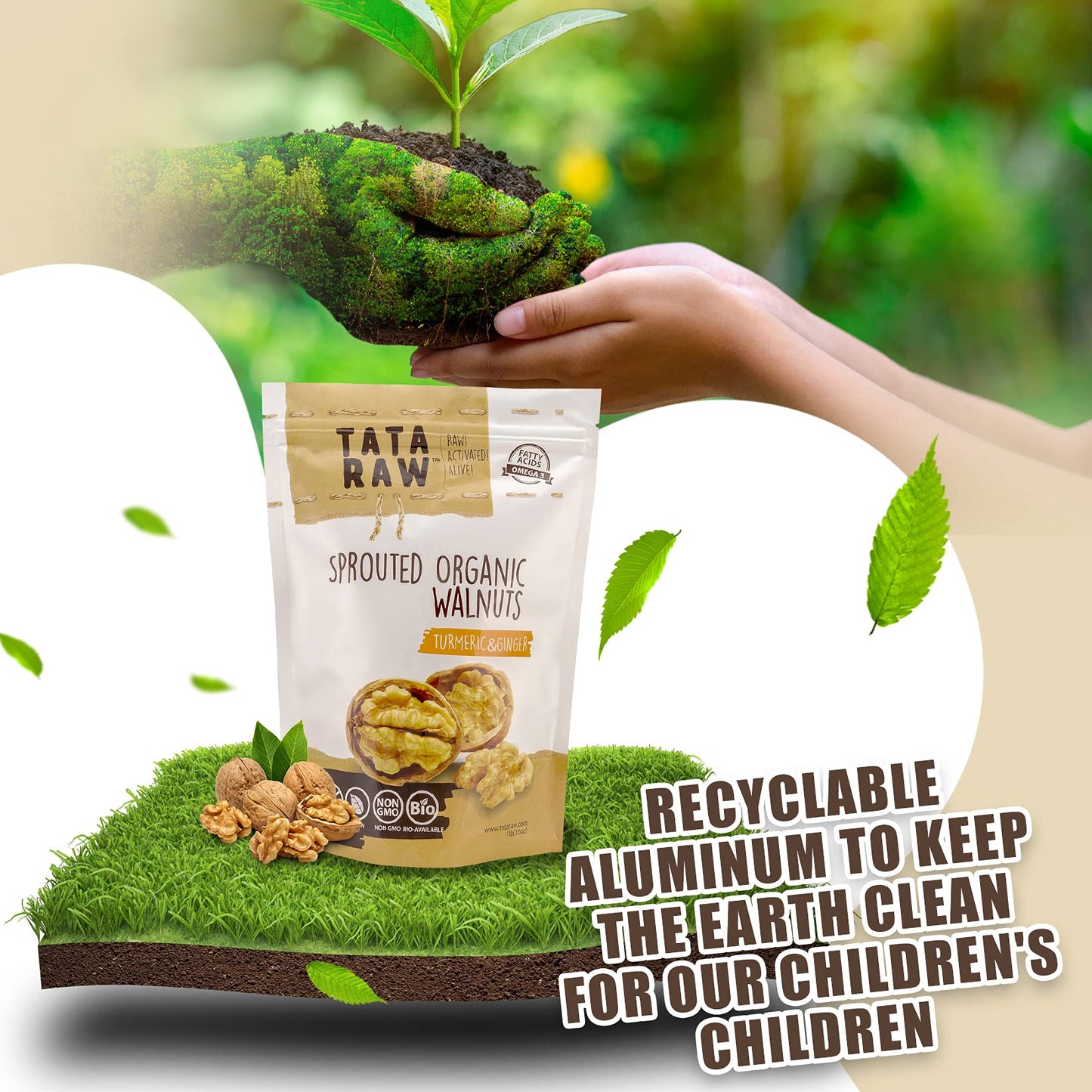 Tata Raw - Organic Sprouted Maple Walnuts - Turmeric, Ginger - 1 Lb