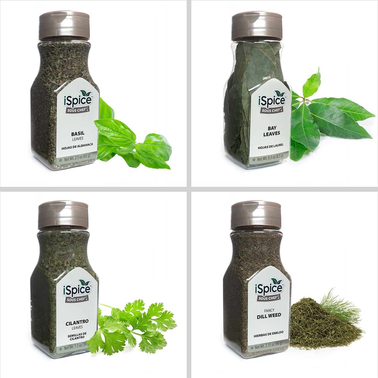 iSpice Gourmet Spice Set - 24-Pack Seasoning Collection for Cooking - 0.04 Ounce Each