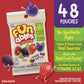 Funables Fruit Snacks, Mixed Berry Snacks, 2.5 Ounce Pouches (Pack of 48)