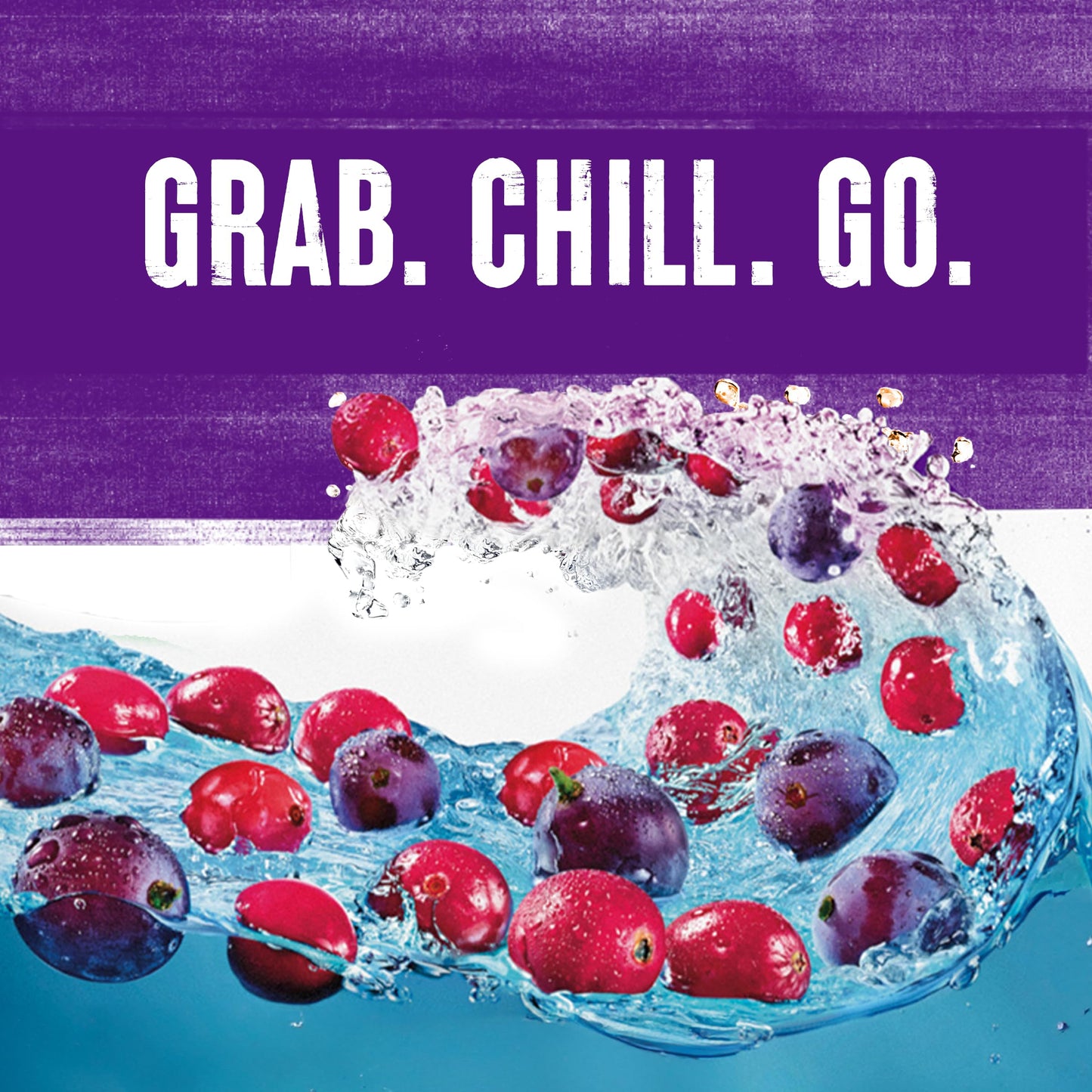 Ocean Spray Cran-G Cranberry G Juice Drink  16oz can (12 Pack)