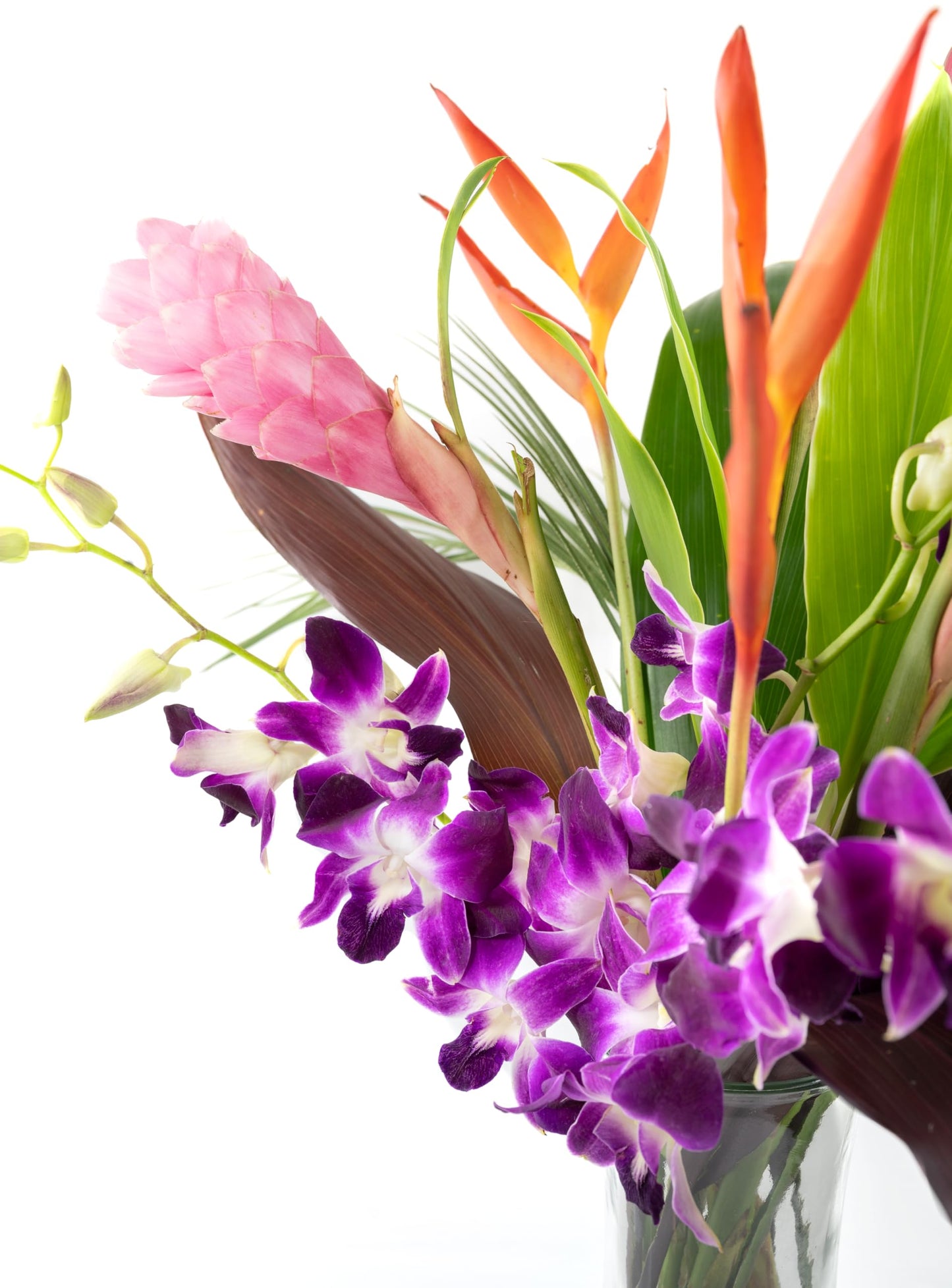 Fresh Orchids And Tropical Flower Bouquet, Purple Orchids, Red Ginger, Heliconia, Mixed Foliage, Hawaiian - Prime Quality - Perf