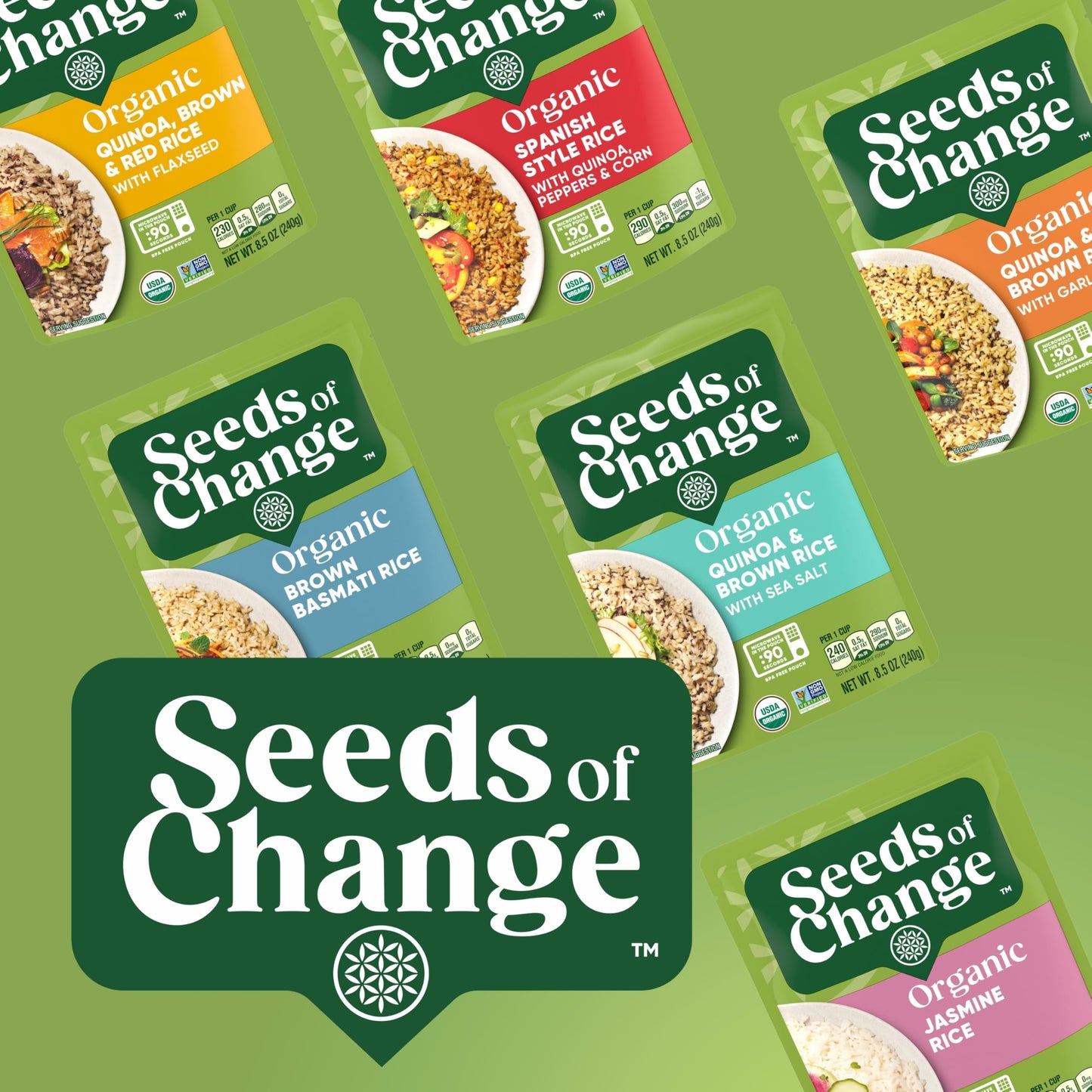 SEEDS OF CHANGE Organic Quinoa & Brown Rice with Garlic Family Size, Organic Food, 17.3 oz Pouch (Pack of 6)
