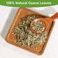 TEARELAE Guava Leaves Tea Bags - 100% Pure Natural - Caffeine-Free - 70 Count