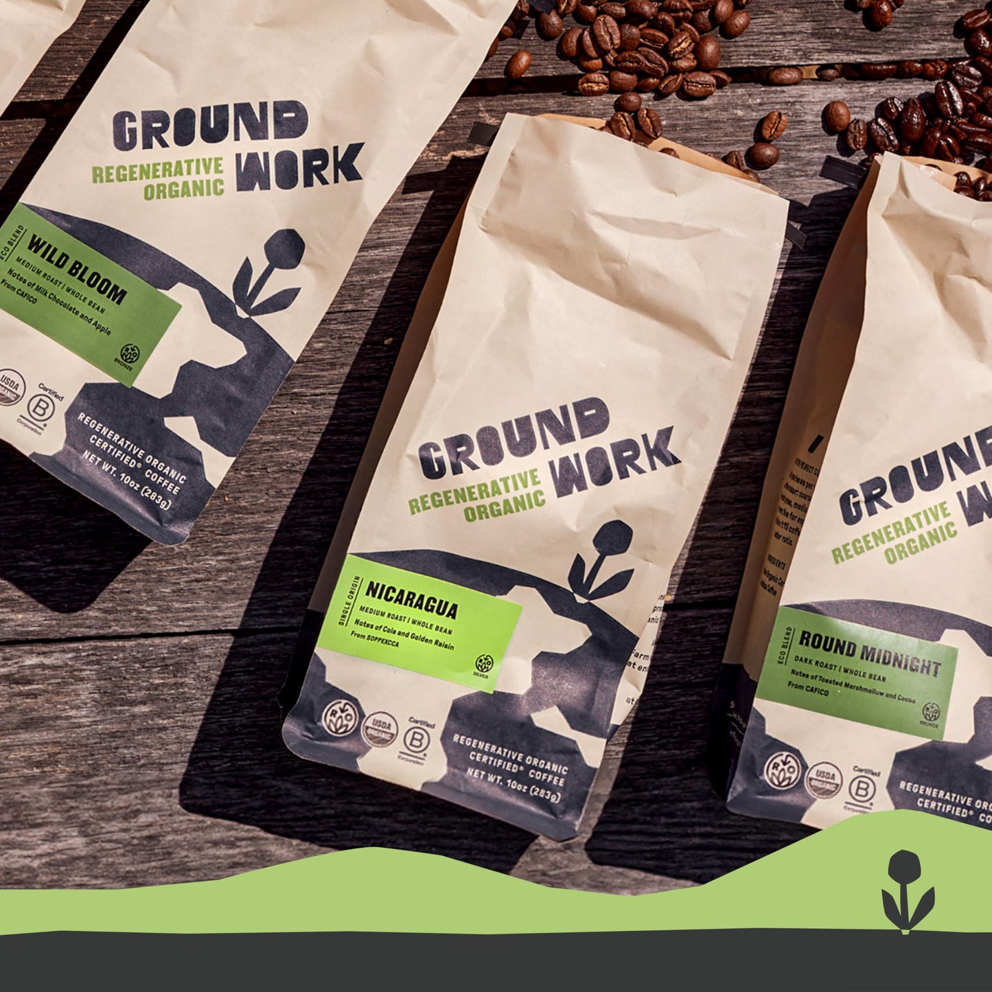 Groundwork Coffee Co Organic Regenerative Nicaragua Whole Bean Coffee, 10 Oz
