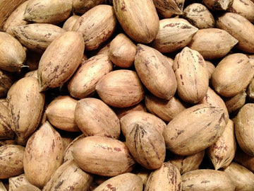 Generic Texas Pecans Whole With Shell - Fresh Crop, Easy to Crack, Ideal for Candy and Pie - 3 Count