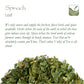 Spinach Dried Leaf Flakes - Spinach Leaf Dried Spinach Flakes Dried Spinach Leaves Dried Spinach Flake