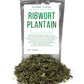 Dried Ribwort Plantain Herb - Ingredients: 100% Natural Ribwort Plantain (Plantago Lanceolata) - Net Weight: 1.05Oz / 30G