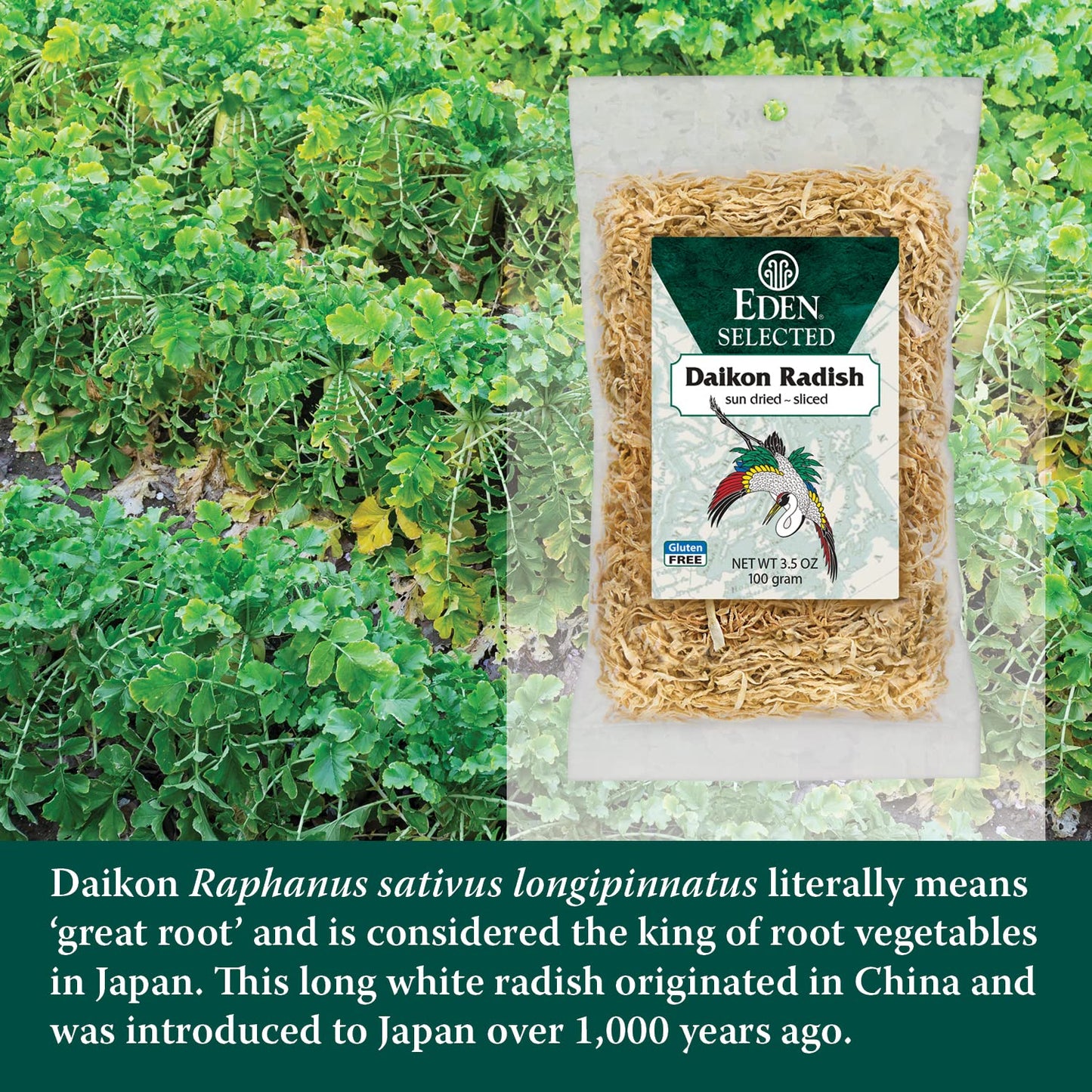 Eden Sun Dried Daikon Radish, Finely Sliced, 3.5 oz - Traditional Japanese Snack, Healthy, Vegan, Gluten-Free