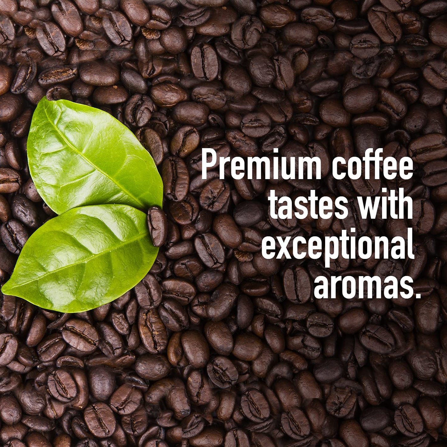 SCREEN 18 CRAFTED COFFEE Specialty Grade Kenya AA Ground Coffee, Medium Dark Roast, 1 LB