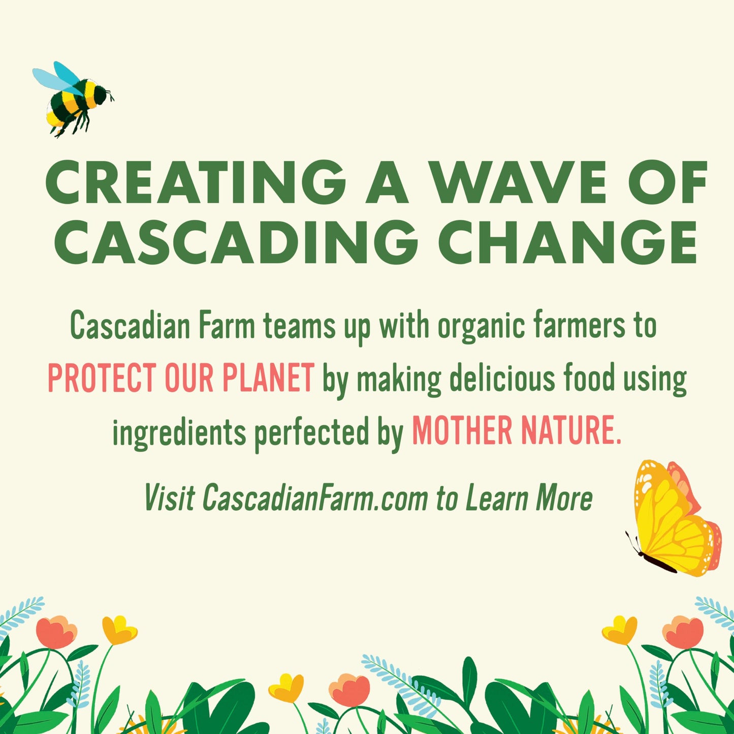 Cascadian Farm Organic Cinnamon Apple Cereal  No Added Sugar  Made with Whole Grain  Non-GMO  12 oz