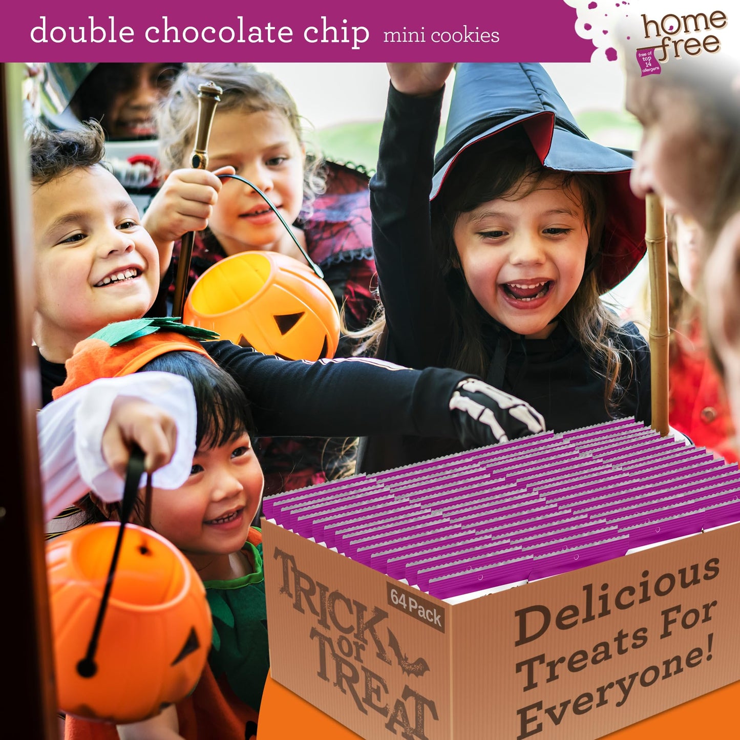 Homefree Treats You Can Trust Gluten Free Mini Cookies, Single Serve, Double Chocolate Chip, 0.95 Ounce (Pack Of 64)