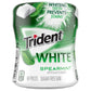 Trident White Spearmint Sugar Free Gum, 6 Bottles Of 60 Pieces (360 Total Pieces)