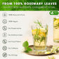 FRESHDRINKUS Rosemary Leaf Tea Bags, 100% Natural Herbal Tea, Caffeine-Free, Vegan, 40 Count