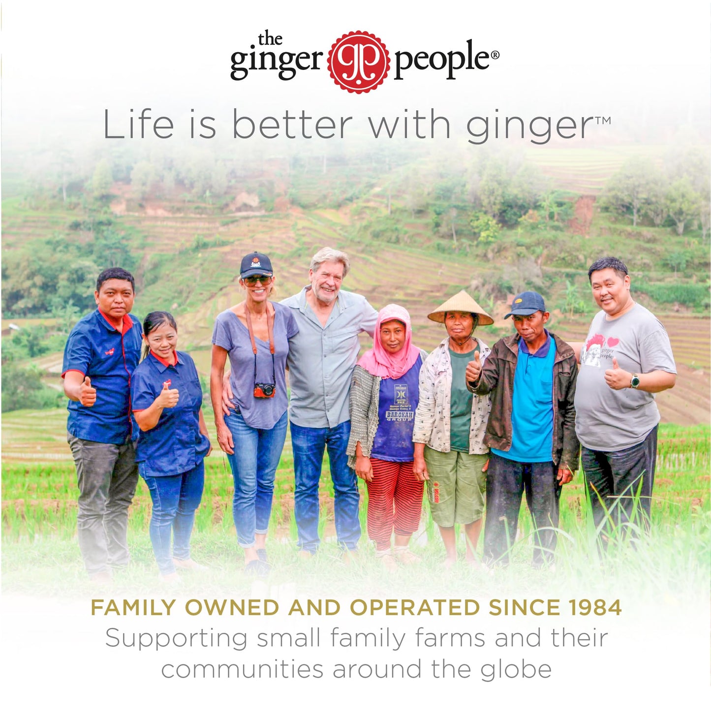 The Ginger People GIN GINS Mandarin Orange Ginger Chews - 1 lb Bag - Individually Wrapped Healthy Candy
