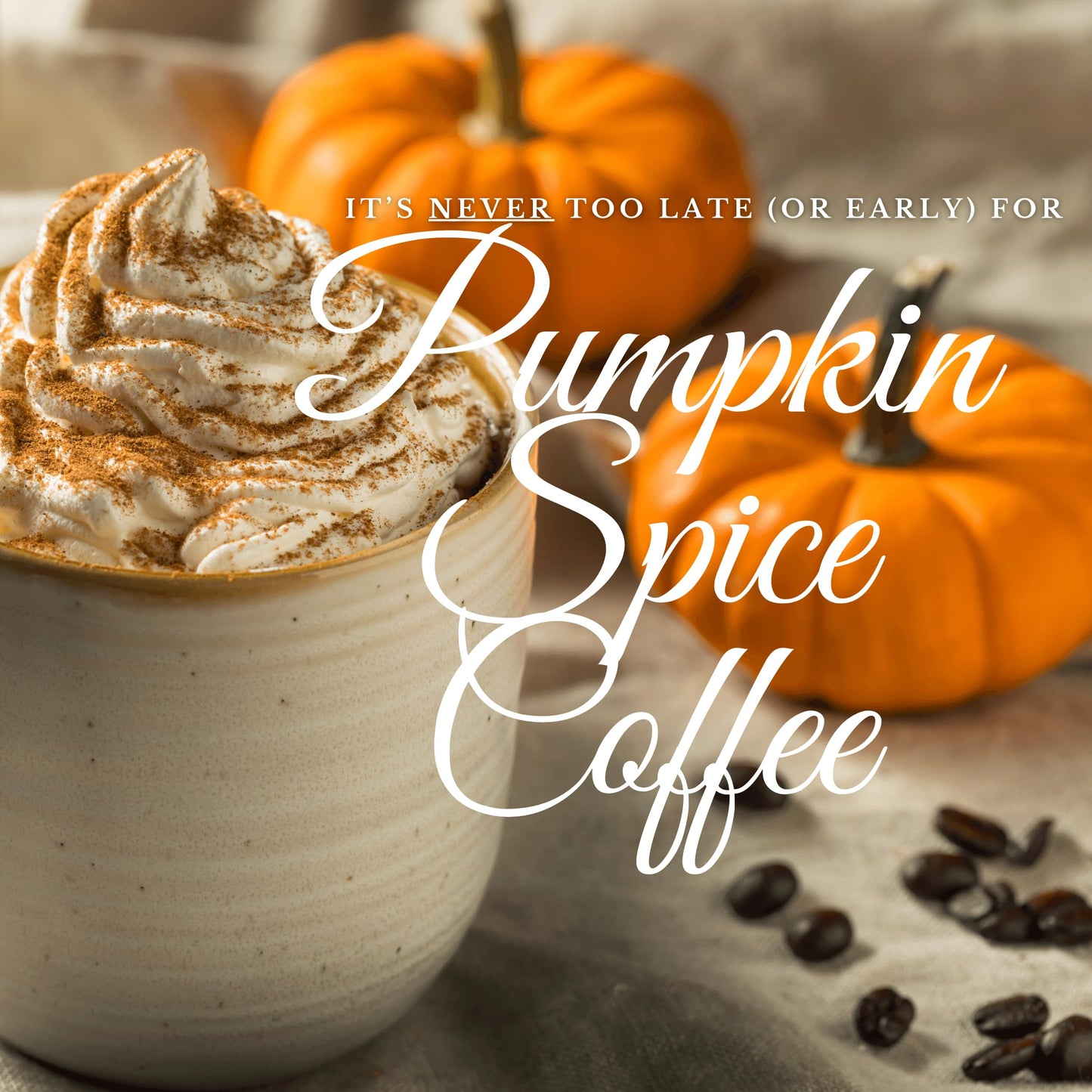 New England Coffee Pumpkin Spice Medium Roast Ground Coffee, 11Oz Bag (Pack Of 1)