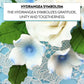 Global Sugar Art Hydrangea Blossom Sugar Cake Flowers, White With Blue - Wired- 36 Count By Chef Alan Tetreault