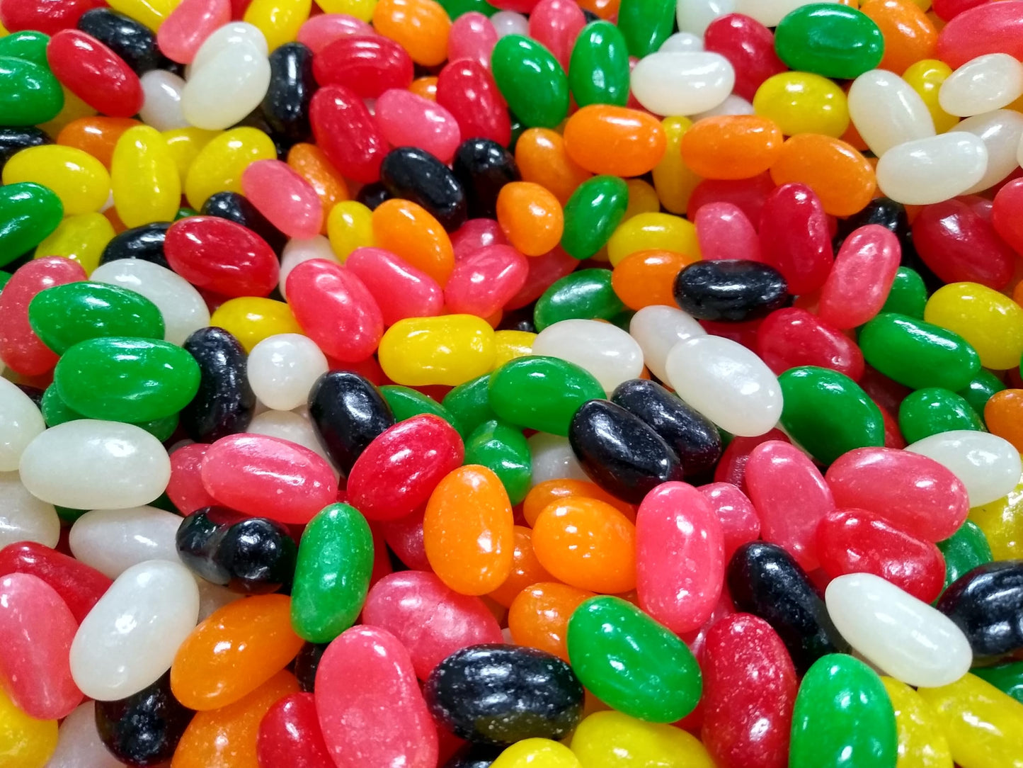 Jumbo Assorted Spiced Jelly Beans - 1 lb of Fresh Delicious Extra Large Licorice Sassafras Peppermint Clove Cinnamon Spearmint J