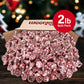 Hershey'Skisses Candy Canes Mint Confection With Stripes And Candy Bits For Winter Chrsitmas Indulgence - Delicious Peppermint C