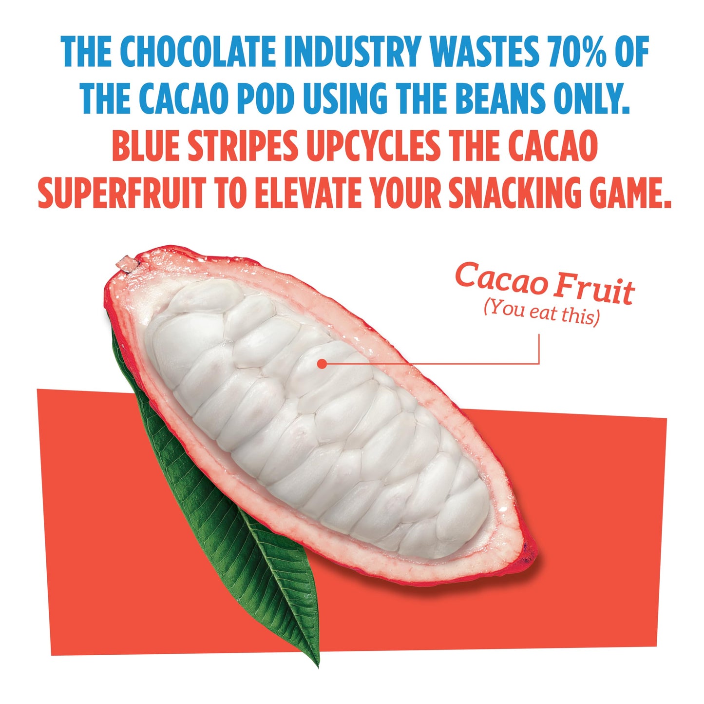 Blue Stripes Cacao Superfruit Gummies - Vegan Chewy Fruity Snack  No Sugar Added 100% Fruit Gummy  9 Essential Vitamins & Minerals  Natural Tropical Superfood - Mango & Cacao  3.2oz