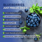 Ösel Berry Organic Dried Blueberries - 100% Unsweetened Wild Blue Berries | Handpicked Freeze Dried Blueberries - Organic & Fresh | Dry Whole Fruit Blueberry - Rich In Antioxidants & No Sugar Added