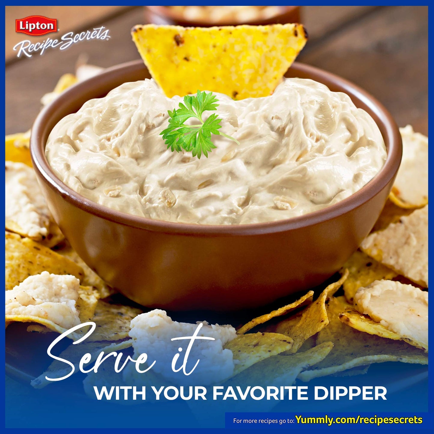 Lipton Recipe Secrets Recipe Mix, Onion, 2 oz