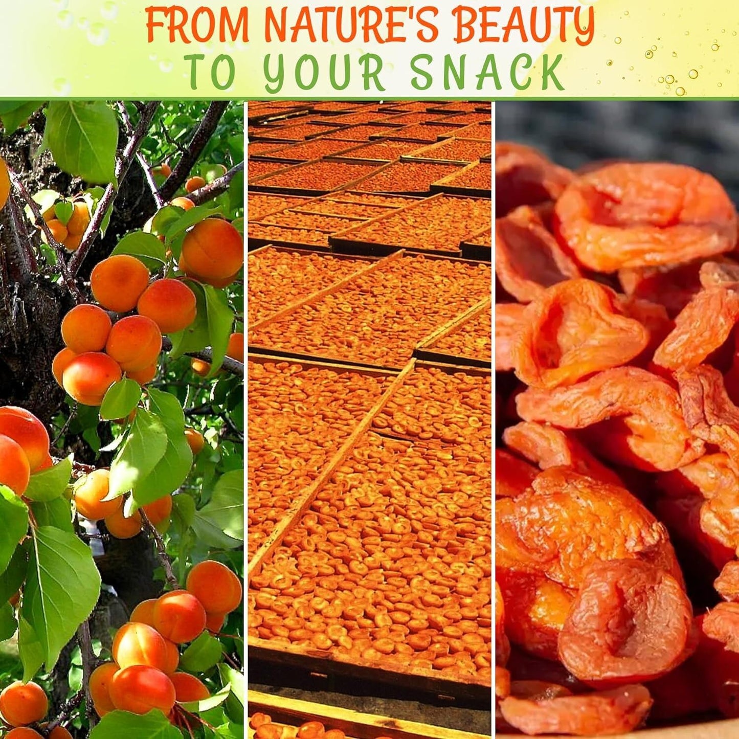 Apricots California | 8 oz - Dried Fruit | Less Sugar Added | Dehydrated Fruit Bites | Packed In New York Zip-Seal Bag For Excep