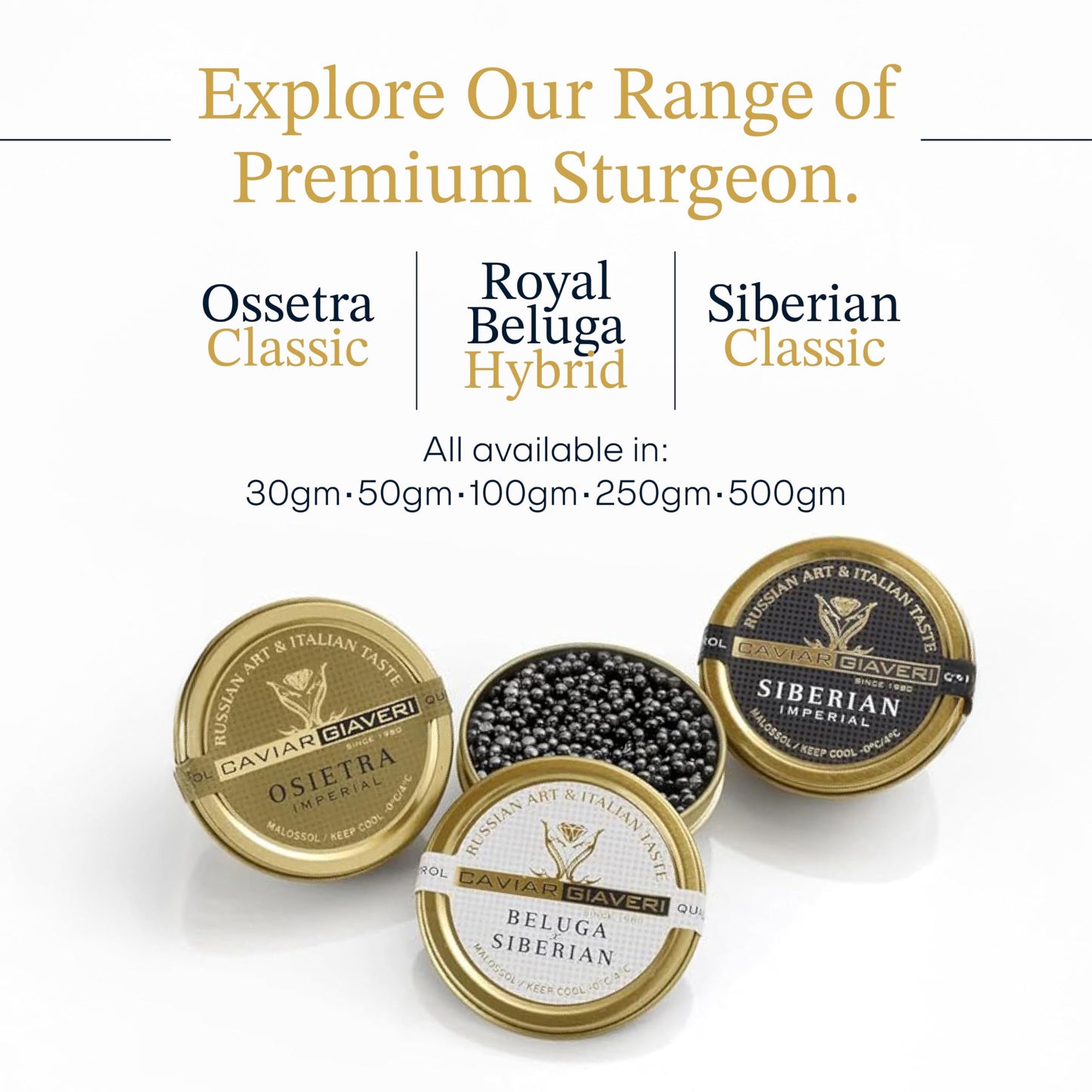 Overnight Guaranteed  BESTER enhanced Russian Osetra Sturgeon Black Caviar - (8.8 oz-250g) - Malossol Ossetra Black Roe - enhanced Quality  Traditional Style  Imported. Free blinis and 2 spoons.
