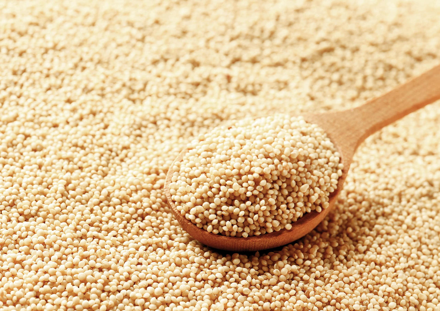 Food to Live Amaranth Grain, 3 Pounds - 100% Whole Seeds, Vegan, Kosher, Bulk. Sweet, Nutty Flavor. Rich in Protein, Calcium. Gr