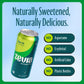 Zevia Zero Sugar Ginger Ale Soda, Non-GMO, Gluten-Free, Vegan, 16 Fl Oz Cans, 12-Pack, Clear