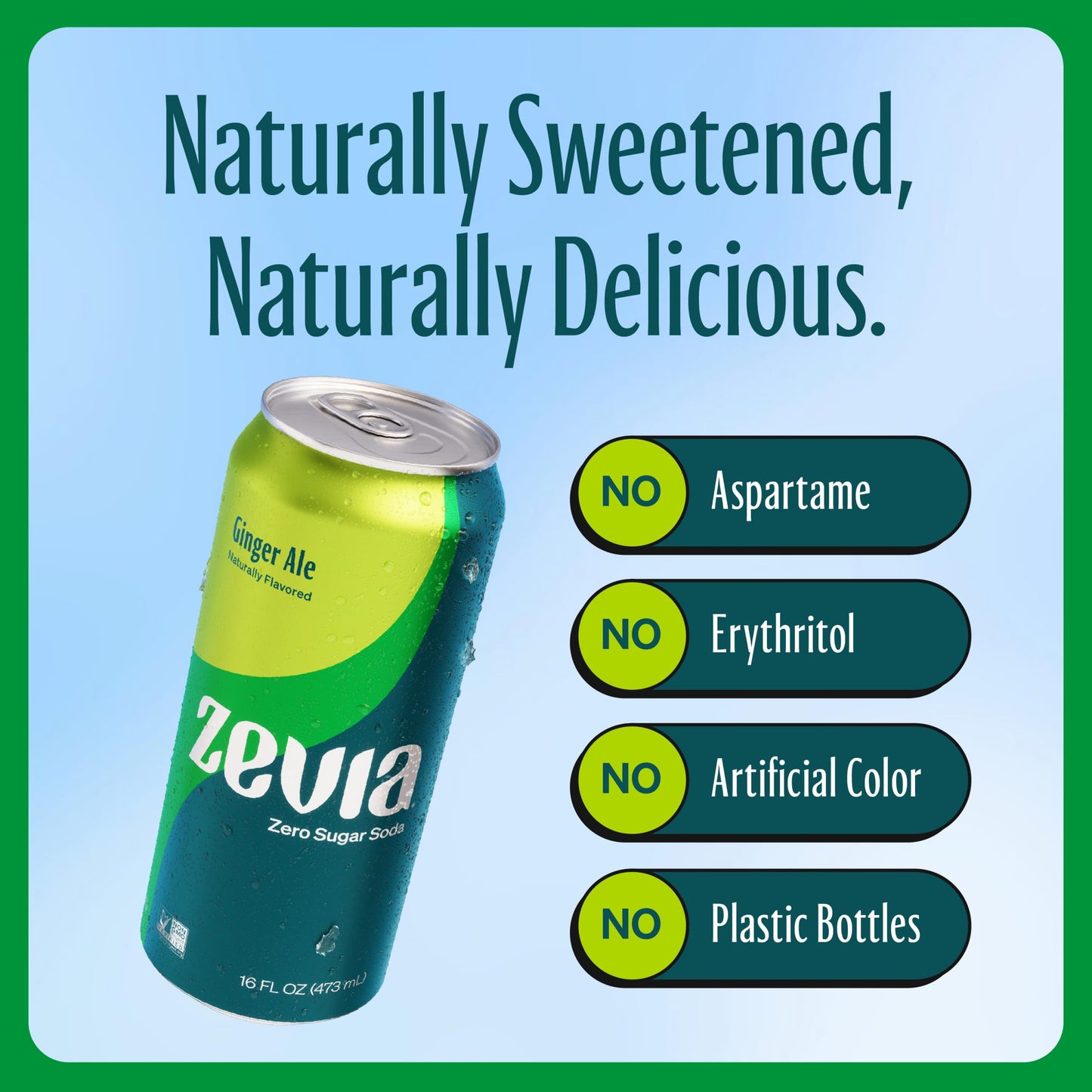 Zevia Zero Sugar Ginger Ale Soda, Non-GMO, Gluten-Free, Vegan, 16 Fl Oz Cans, 12-Pack, Clear