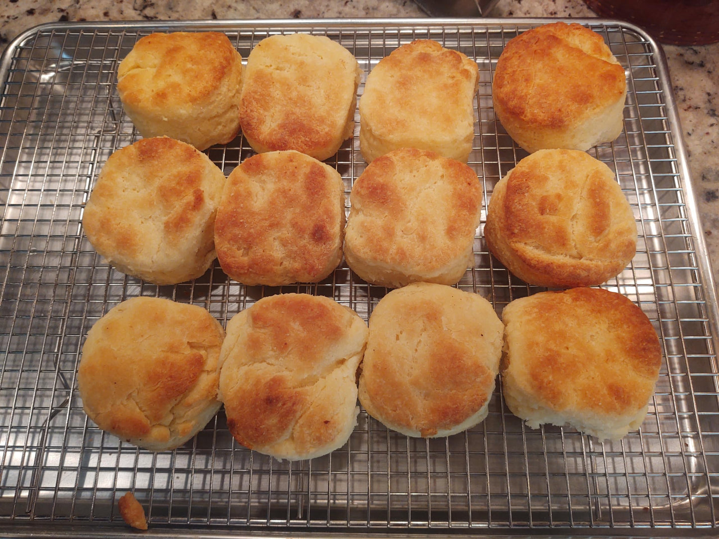 Glutenfreeee Gluten Free Buttermilk Cream Biscuit Mix, 16 Ounce - Delicious, Breakthrough Recipe, Just Like Grandmas But No Glut